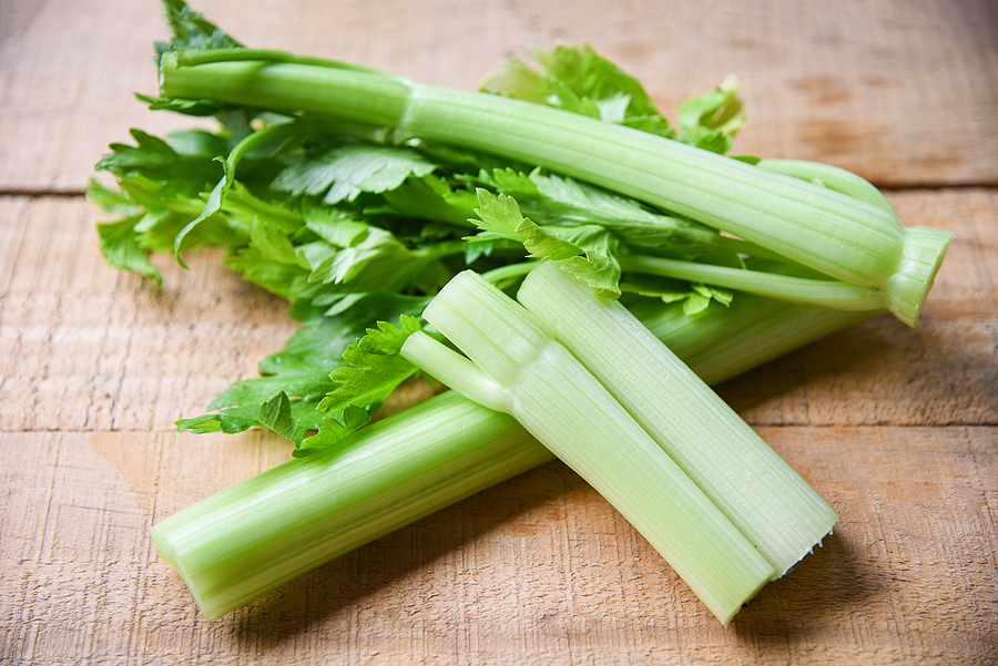 Can Dogs Eat Celery? All you need to know