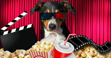 31 top grossing dog movies