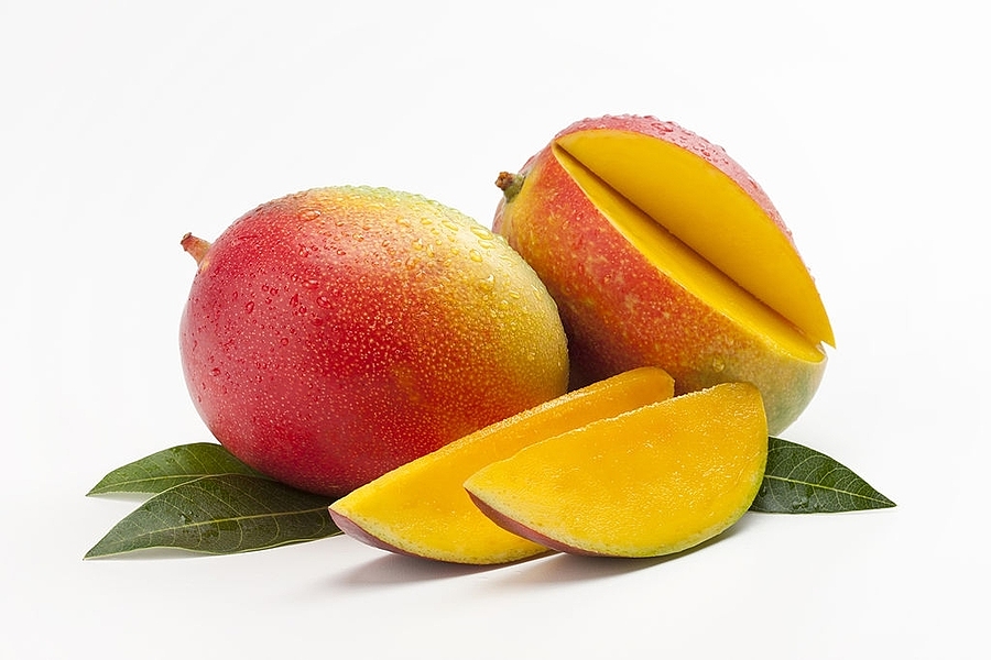 are mangoes bad for dogs