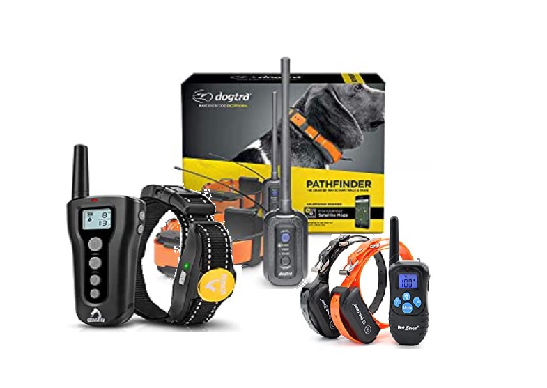 Best Dog Training Collars All you need
